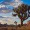 Secluded Twentynine Palms Accommodation for Glamping in California - 二十九棕榈村