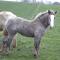 Ferme Clatot
