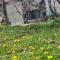 Apricot & spring Resort Skardu - Skardu