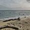 Palamares3 of caleta1 - 拉罗马纳