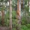 Karri Cove By Swan Bnb Management