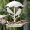 Karoo Escape 2 - Oudtshoorn