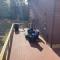 Wilderness Getaway - East Jewett