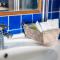 Seafront Villa Kyma by Ezoria Villas