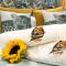 Zabini Lodge and Game Drives - Nelspruit
