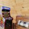 Knock on Wood cabin - بيدجن فورج
