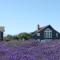 Dungeness Barn House Bed and Breakfast at Two Crows Farm - سيكيم
