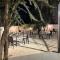 Downtown Inn Madaba