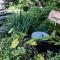 Eco Friendly Cottage at Simple Patch Farm Wingham