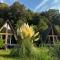 Cabane A-Frame Svinița