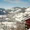 Penthouse in Niederau near Ski Lift