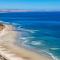 Swainson by Surf