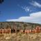 Antlers Gulch 502 by SummitCove Lodging