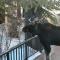Quicksilver 1616 by SummitCove Lodging - Keystone