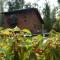 Cabaña en Pucon - Pucón