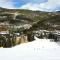 Black Bear 8064 by SummitCove Lodging