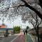 Atelier Seongsu Riverside Loft Cherry Blossom Road Han River airport bus - Seul