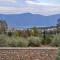 Villa in the Olive Trees - Galaxidi