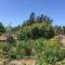 Sebastopol Wine Country Home with Vineyard Views - سيباستوبول