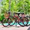 Tulum private jungle cool pool at Dk Tulum DK 500 mbps Wi-Fi 3 Bikes King Bed - 图卢姆
