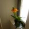 Apartments Calendula Rubic - Split