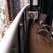 Landscape Apartment TC1502