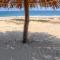 Palo Santo beach escape