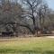 Simunye Private Game Reserve - Brits
