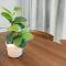 GuestReady - The perfect retreat in Matosinhos - Matosinhos
