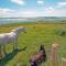 Cottage 118 - Cleggan