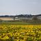 Vakantiewoning P3F