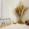 Getaway Haven at Southwoods, Biñan with Fast Internet - Biñan