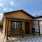 Olive Oasis Studio