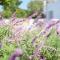 Palmiet Valley Wine Estate & Boutique Hotel