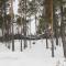 Norlight Cottages Ivalo - Aurinko East