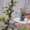Palmiet Valley Wine Estate & Boutique Hotel