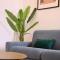 Spinola Apartment