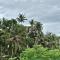 Umah Made Bali Home & Art Space With Kitchen - 乌布