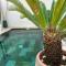 Comme un Riad - Xeraco