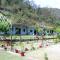 Tiger resort - Rishikesh