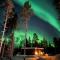 Aurora Queen Resort Igloos