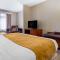 Comfort Suites Boone - University Area