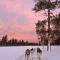 Aurora Queen Resort Igloos