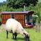 The Edwardian Caravan 'Dora' - Lampeter
