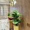 Golden Tulip Hotel Port Harcourt -GTPH