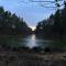 Bungalow im Wald am See - Biberspur - Zieko