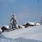 Chalet Tannegg Studio - Reichenbach