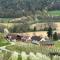 Gästehaus - Camping- Weinhof Radl