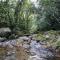 A family house in the woods of Atlantic forest - Cachoeiras de Macacu