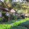 Cham Villas Resort